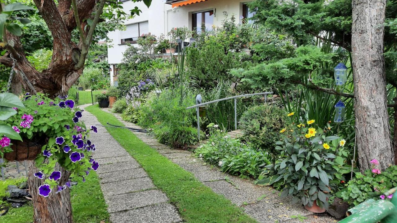 Apartmán Am Teich Kamp-Bornhofen Exteriér fotografie